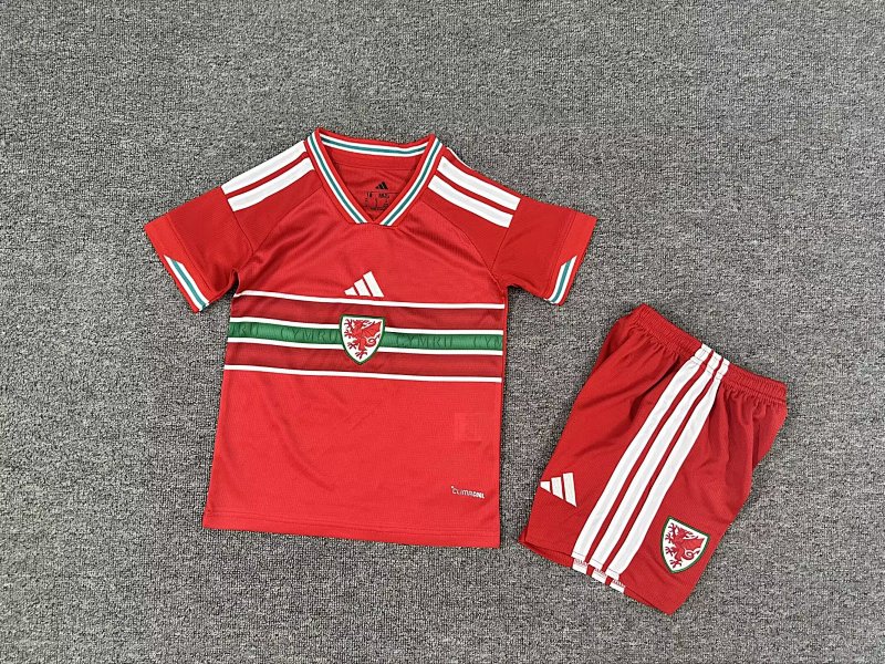 Maillot Fan Pays de Galles Domicile