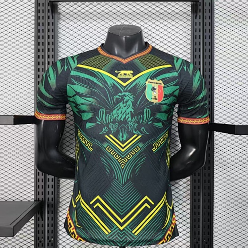 Maillot Joueur Mali