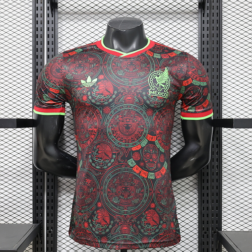 Maillot Joueur Mexique