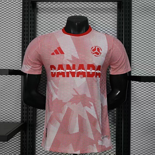 Maillot Joueur Coupe du Monde Spéciale