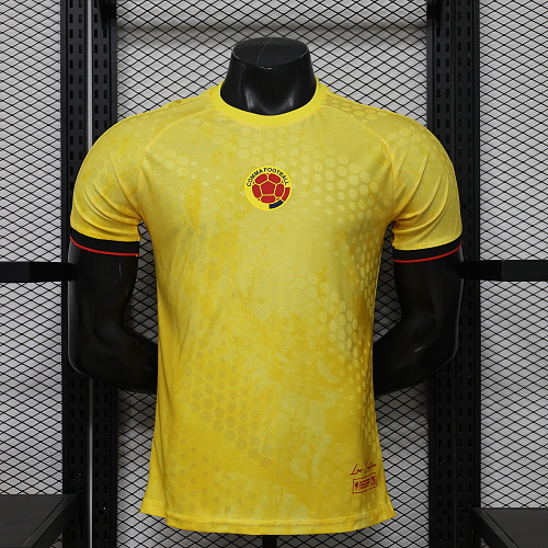 Maillot Joueur 26 Colombie