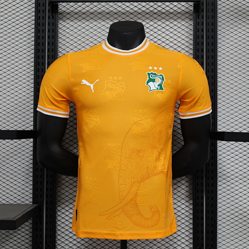 Maillot Joueur Côte d’Ivoire