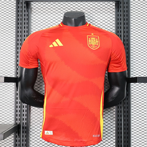 Maillot Joueur Espagne