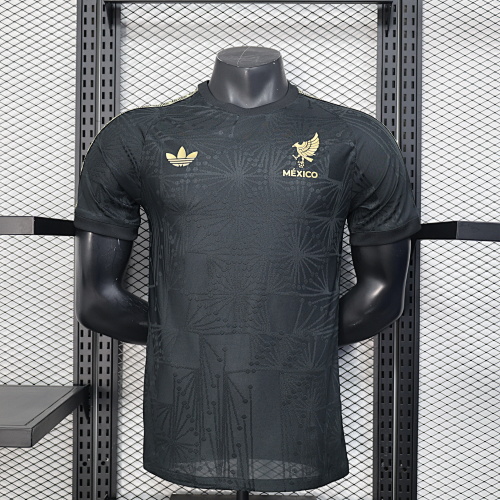 Maillot Joueur Mexique
