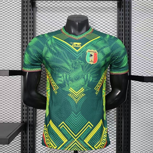 Maillot Joueur Mali