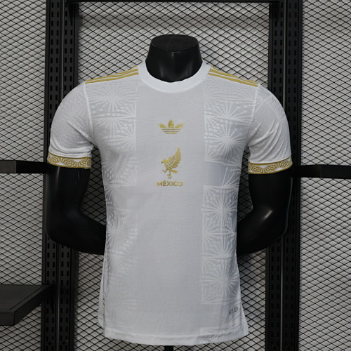 Maillot Joueur Mexique