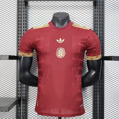 Maillot Joueur Mexique