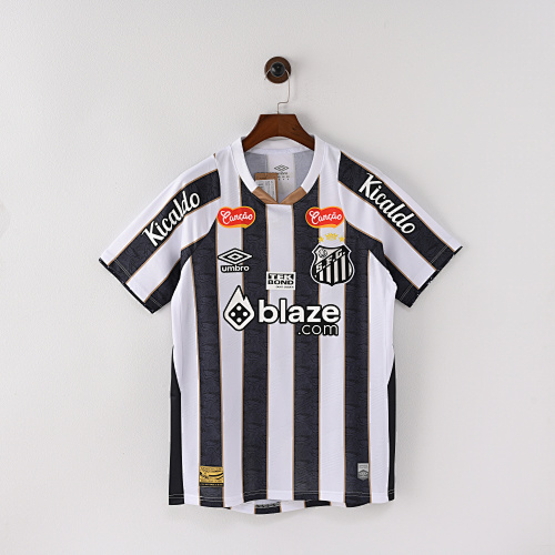 Maillot Fan Santos Extérieur 2425