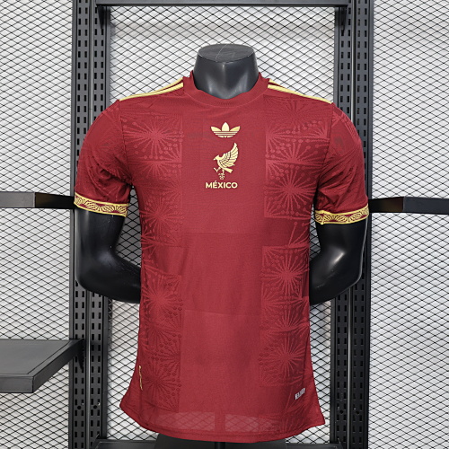 Maillot Joueur Mexique