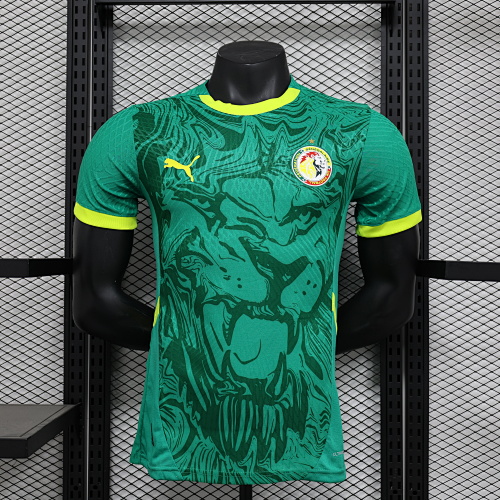 Maillot Joueur Sénégal