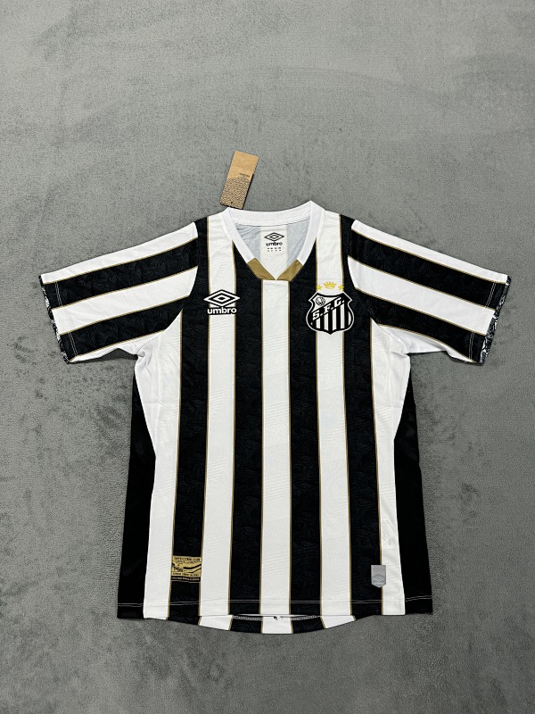 Maillot Fan Santos Extérieur 2425