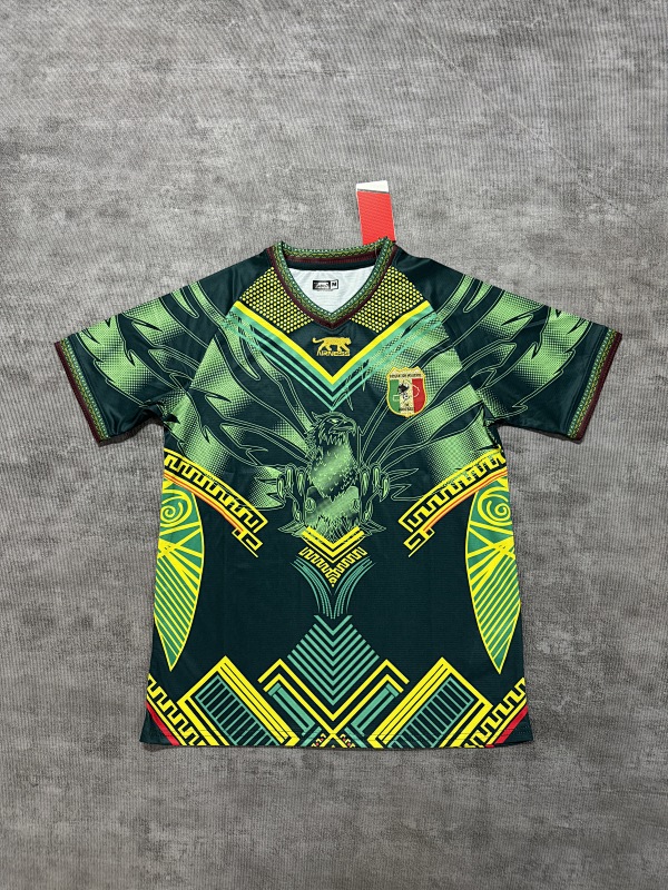 Maillot Fan Mali 2026