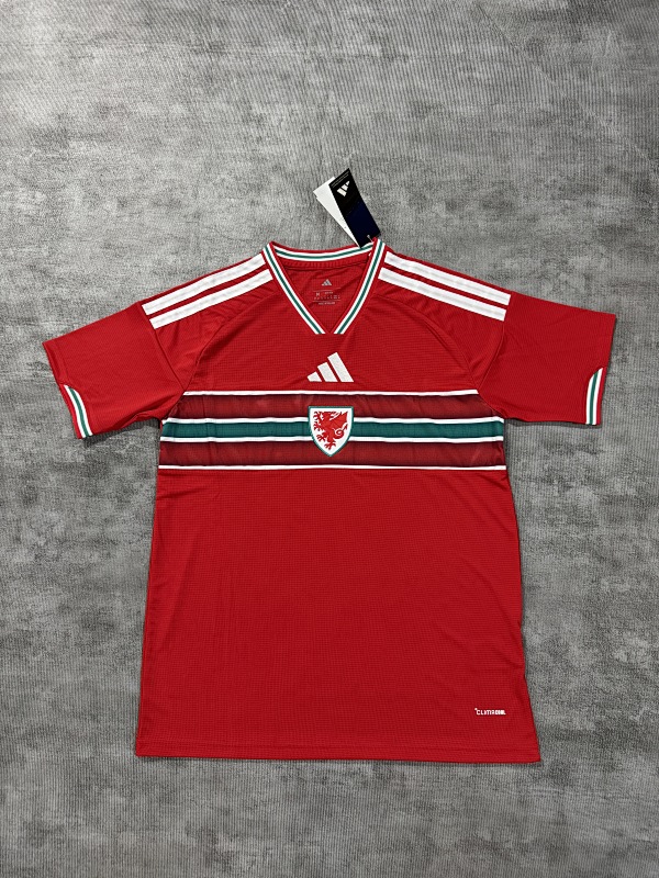 Maillot Fan Pays de Galles Domicile 2026