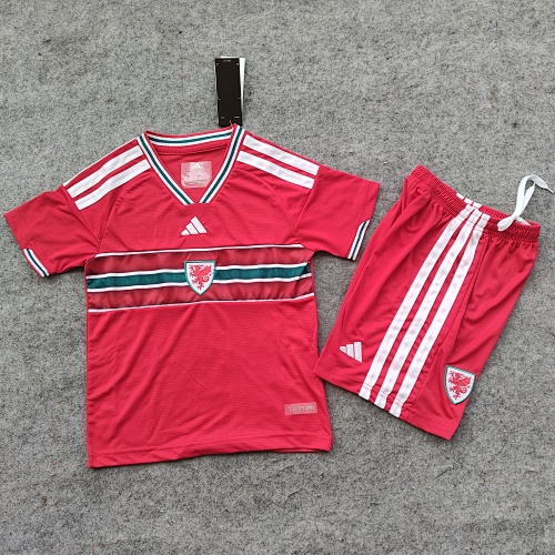 Kit Match Pays de Galles Domicile # 2627
